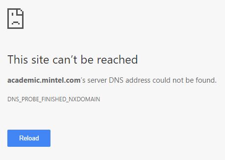 Mintel DNS error